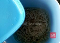 豌豆苗炒百叶丝的做法图解2