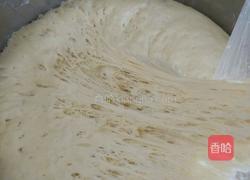 （榆钱）菜窝窝的做法图解4