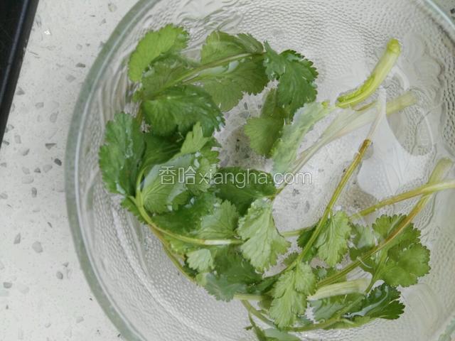 清洗香菜