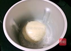 包子、馒头一次发酵法的做法图解2