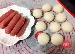 包子、馒头一次发酵法的做法图解6