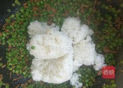 豆角肉末炒饭的做法图解7