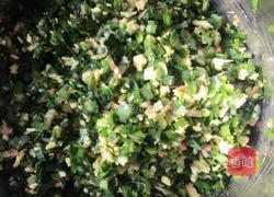 韭菜鸡蛋虾皮饺子的做法图解5