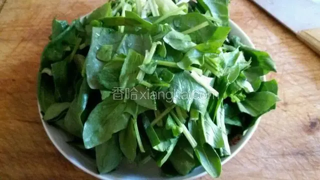 菠菜择去老根，洗净切成段。