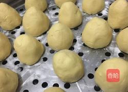 窝窝头的做法图解6