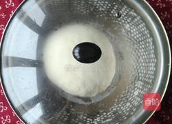 香葱花卷的做法图解4