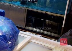 酱烧多宝鱼的做法图解1