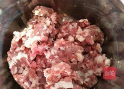 酱香猪肉大葱馅儿的做法图解1