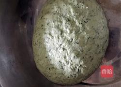 猫猫工作室（江南小吃一艾草青团）的做法图解5