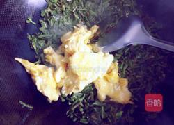 香椿炒鸡蛋的做法图解9