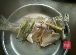 清蒸鲈鱼的做法图解6
