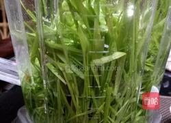 小麦草汁的做法图解1