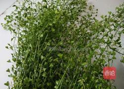 煮鸡蛋的做法图解2