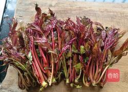 三色彩蛋拌香椿的做法图解13