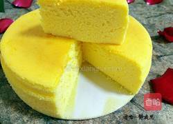 酸奶芝士蛋糕的做法图解22