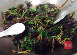 蒜蓉炒红苋菜的做法图解5