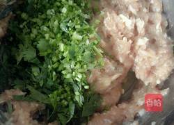 猪肉香菜馅小馄饨的做法图解2