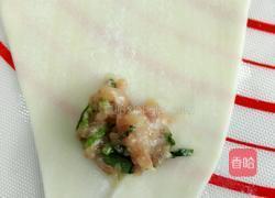 猪肉香菜馅小馄饨的做法图解5