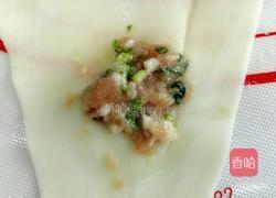 猪肉香菜馅小馄饨的做法图解9