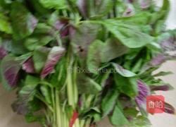 蒜粒红苋菜的做法图解1