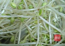 肉丝豆芽菜的做法图解9