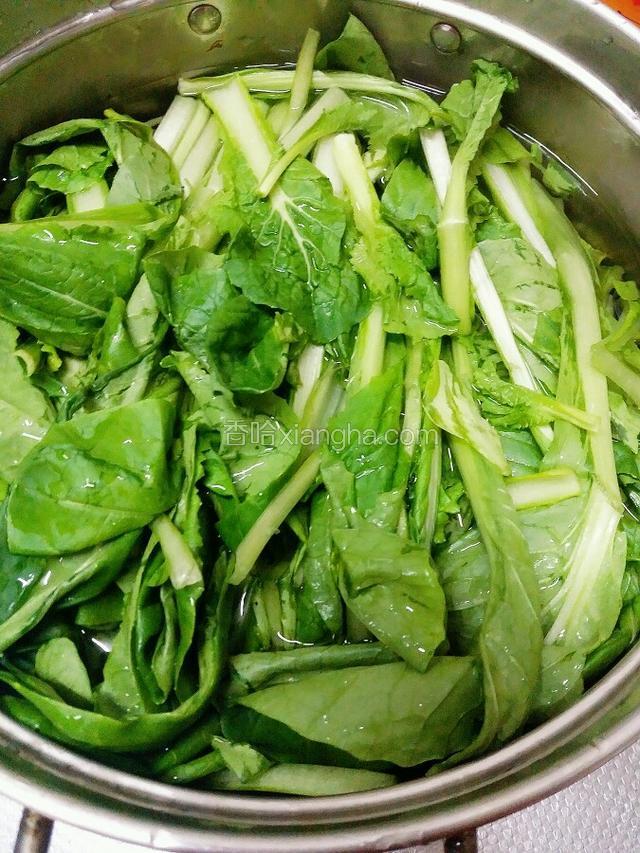 小白菜去根 清洗干净 用盐水泡一下