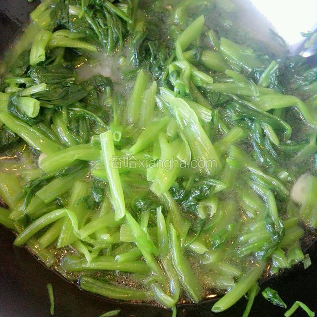 加入适量清水没过菠菜