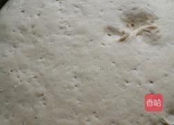 苜蓿菜卷卷的做法图解1