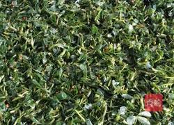 苜蓿菜卷卷的做法图解4