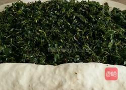 苜蓿菜卷卷的做法图解5