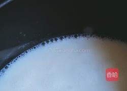 木瓜椰奶冻的做法图解9