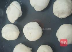 芝麻焦酥饼鸡内金饼的做法图解2