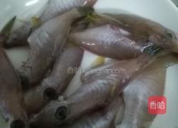 扒皮鱼焖苦瓜的做法图解2