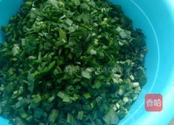 荠菜鸡蛋陷发面包子的做法图解4