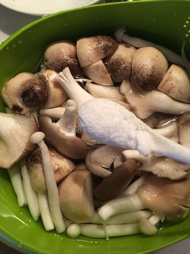 杂菇用盐水泡洗十分钟。清洗干净，沥干水份。