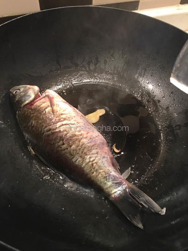 热油锅，下姜片煎香，放鲫鱼小火煎至两面金黄