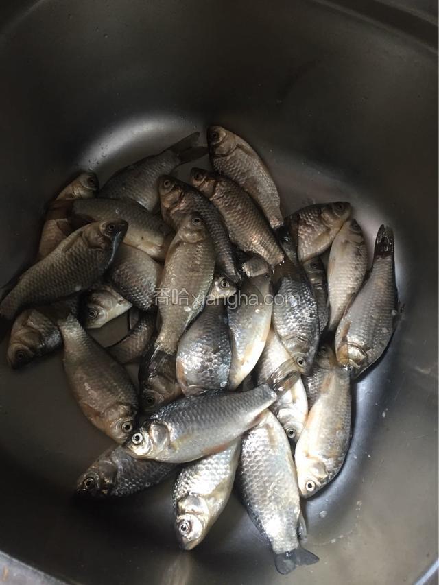 准备小鱼