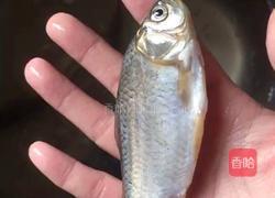 小鱼熬豆的做法图解3