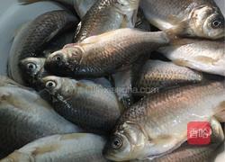 小鱼熬豆的做法图解4