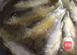 小鱼熬豆的做法图解7