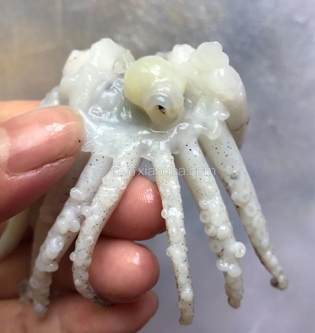 割掉内脏，打开鱿鱼的的脑袋，弄出鱿鱼的嘴，扣掉鱿鱼的眼睛（如果嫌麻烦，可以直接扔掉鱿鱼头）