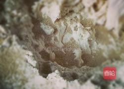 麻花的做法图解2