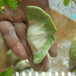 彩色荠菜饺子的做法[图]