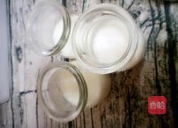 休闲双皮奶的做法图解10