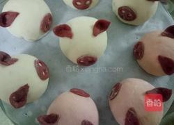 小猪豆沙包的做法图解15