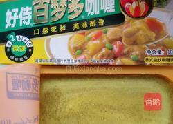 咖喱鸡丁的做法图解5