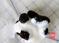 桑椹拉花酸奶的做法图解3