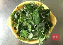 艾香丸子的做法图解2