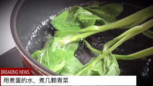 烫几颗青菜(菜变翠绿即可)