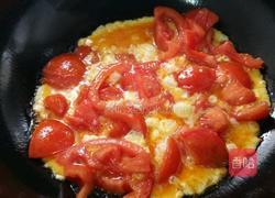 家常西红柿炒鸡蛋的做法图解3